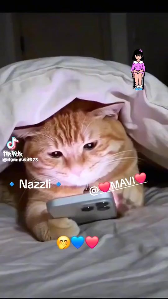 TikTok video thumbnail by zybagozel0505