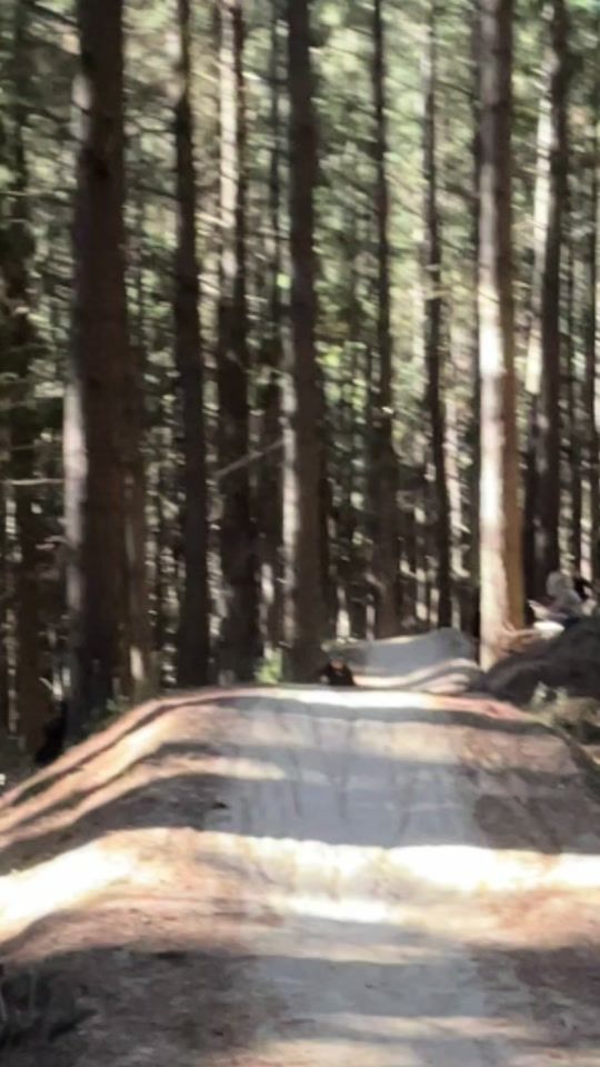 TikTok video thumbnail by joelbacon13