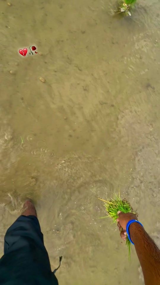 TikTok video thumbnail by shani_mayo1