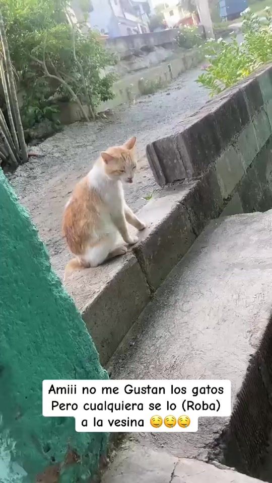 TikTok video thumbnail by yefreisy09