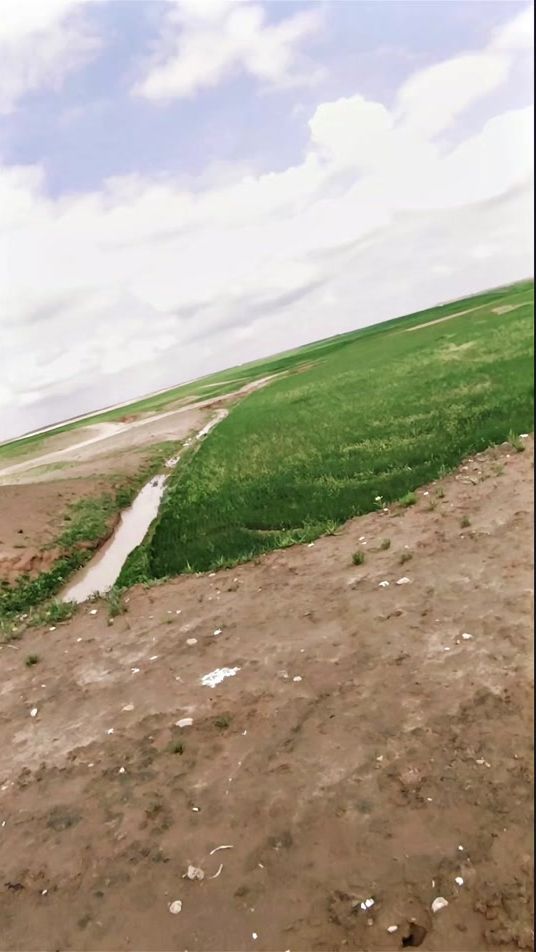 TikTok video thumbnail by n5_fd