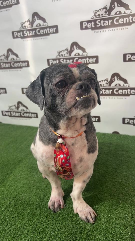 TikTok video thumbnail by petstarcenter