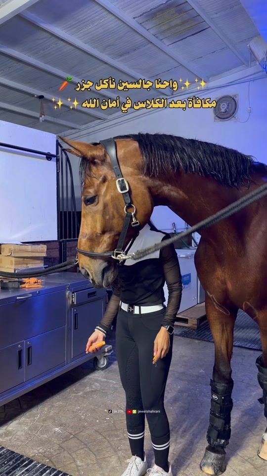 TikTok video thumbnail by ja.20ii
