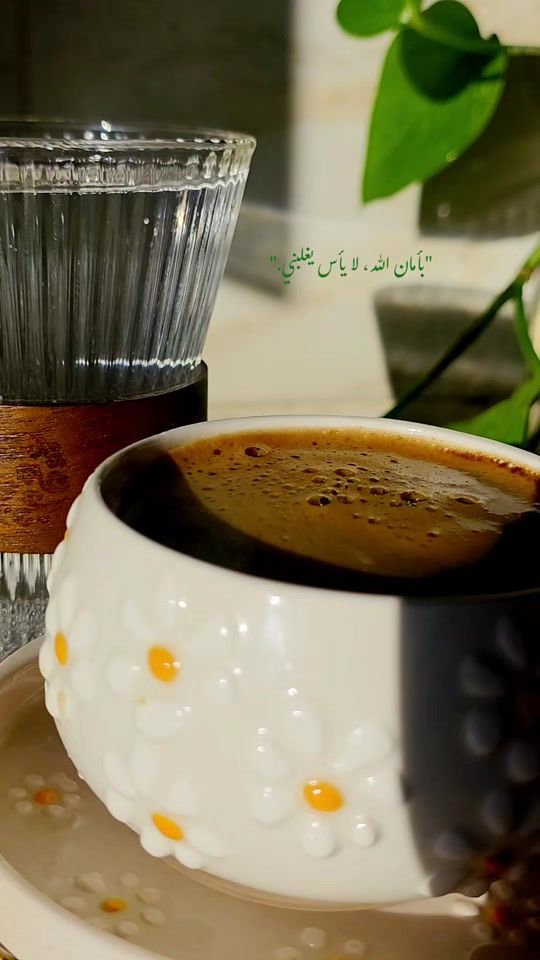 TikTok video thumbnail by sroor112