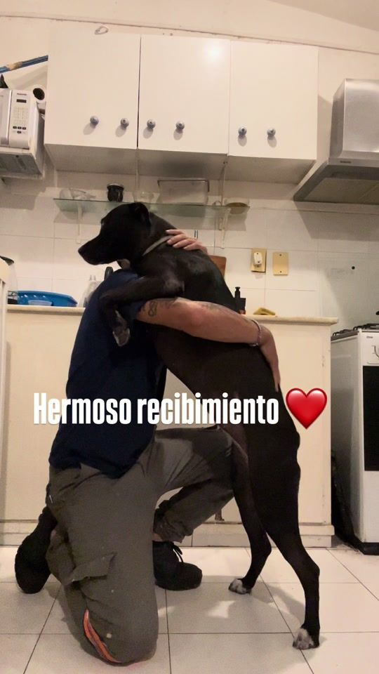 TikTok video thumbnail by _bruniitooficial_