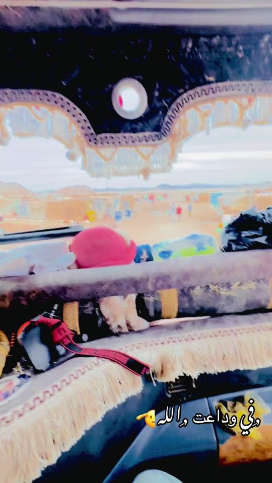 TikTok video thumbnail by ar750288