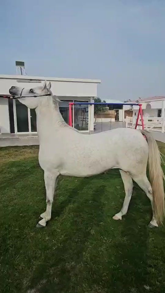 TikTok video thumbnail by ibrahimaaa_a