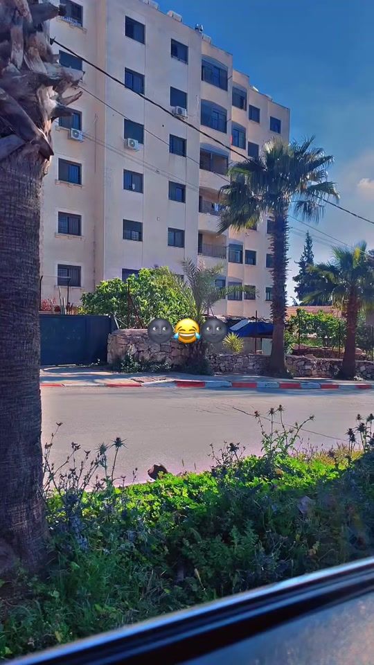 TikTok video thumbnail by khitam.k9