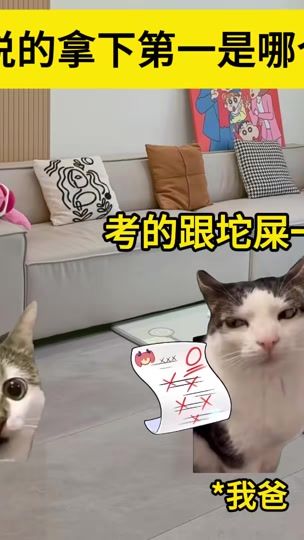 TikTok video thumbnail by wuji770