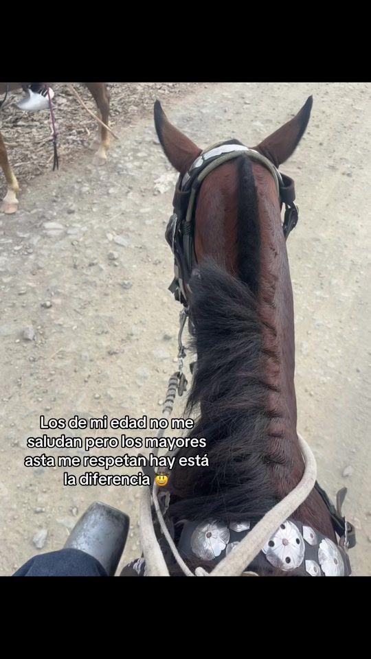 TikTok video thumbnail by donbryan70