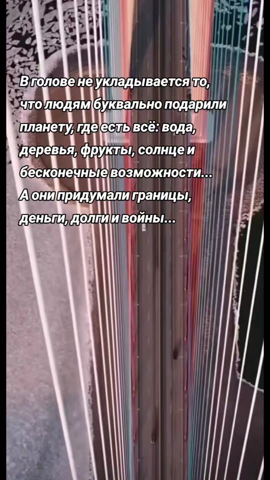 TikTok video thumbnail by scorpions.72