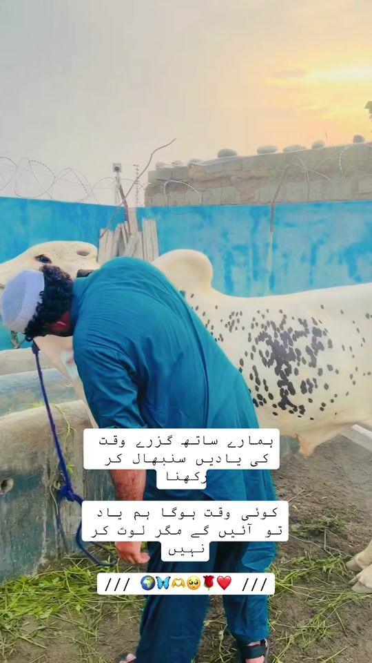 TikTok video thumbnail by wakeel_gujjar