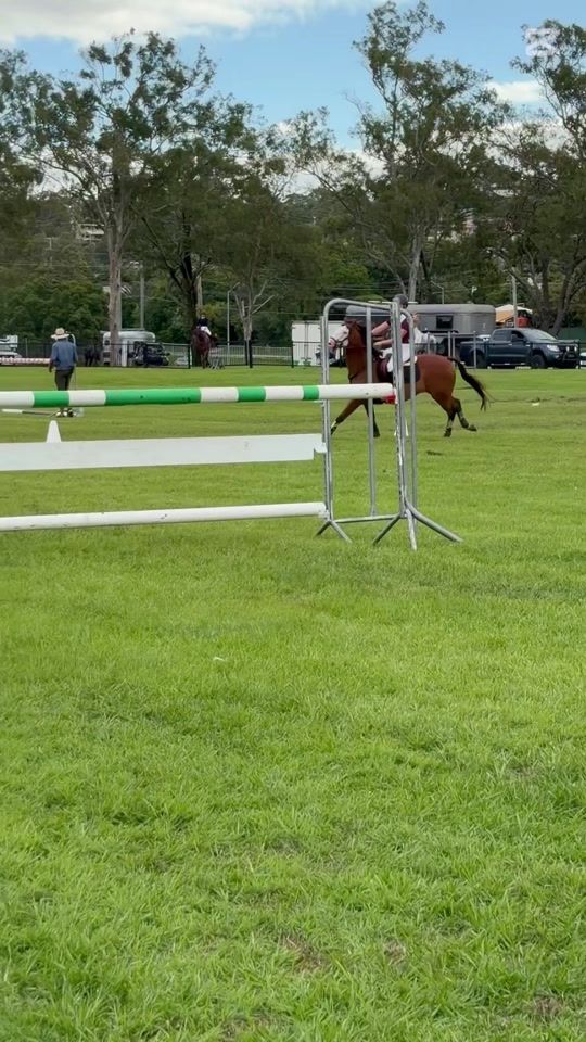 TikTok video thumbnail by lilys.performancehorses