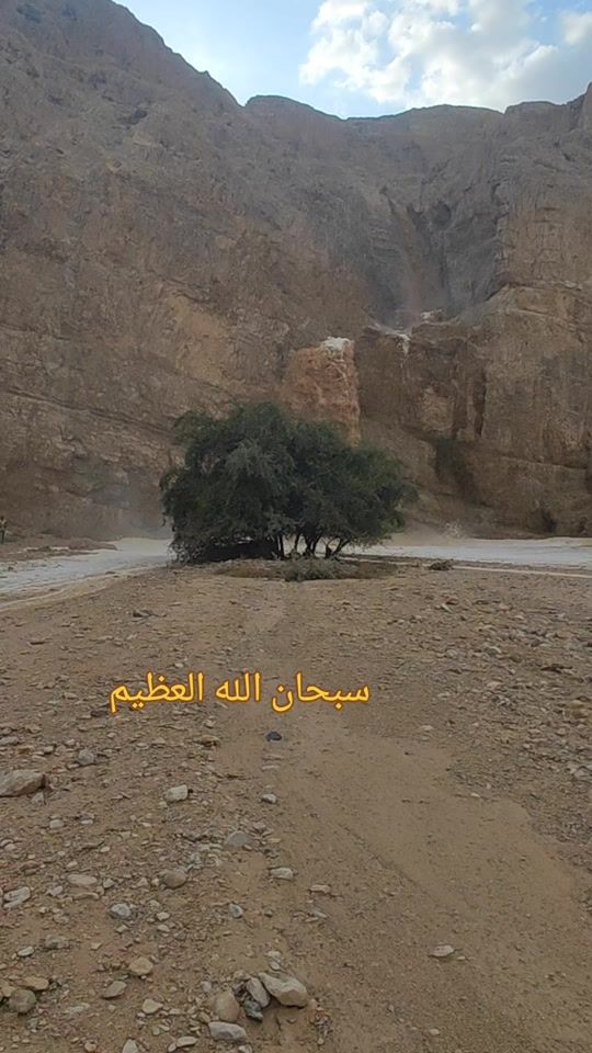 TikTok video thumbnail by imad_hemeid