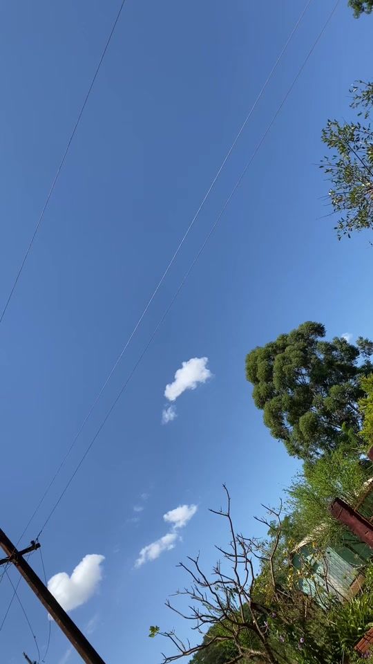 TikTok video thumbnail by alexiisredes