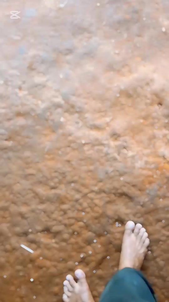 TikTok video thumbnail by janu_lion