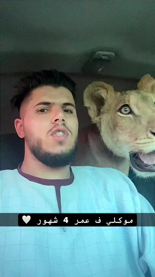 TikTok video thumbnail by abdoalsafra1