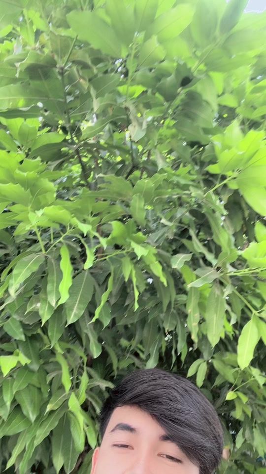 TikTok video thumbnail by bro.dena