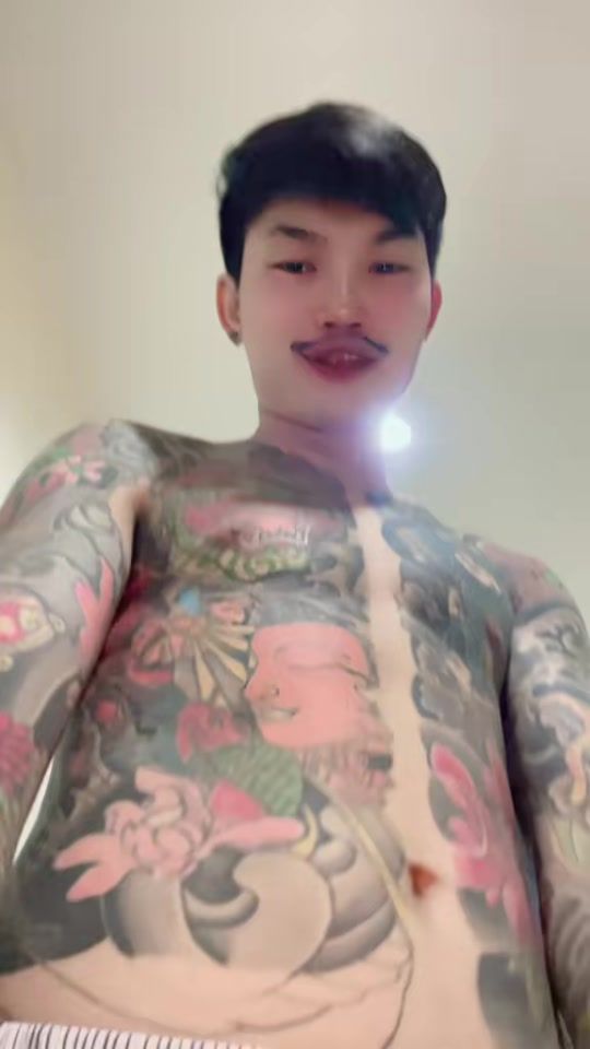 TikTok video thumbnail by paaek9