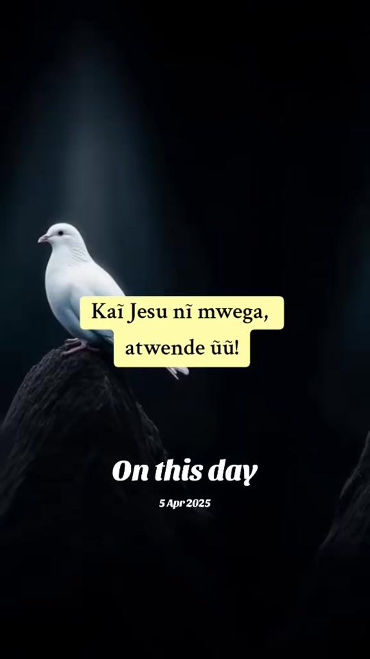 TikTok video thumbnail by galdemry