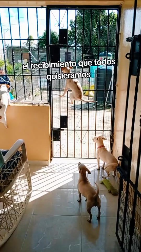 TikTok video thumbnail by lucy091509