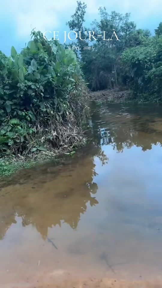 TikTok video thumbnail by gerardobille