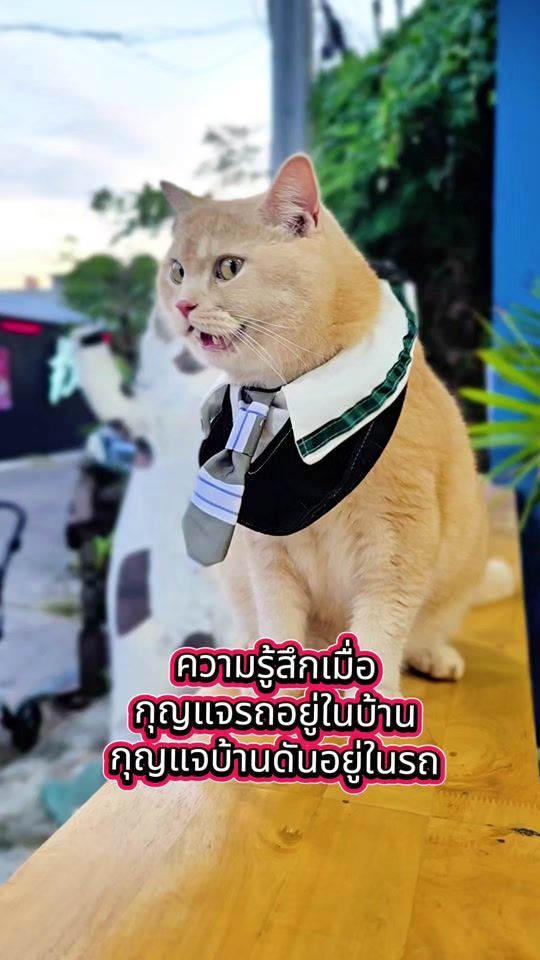 TikTok video thumbnail by gyozahakao