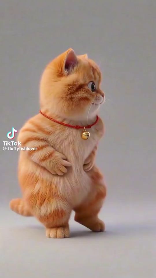 TikTok video thumbnail by annayeva99