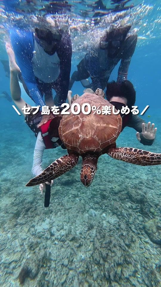 TikTok video thumbnail by yamatabi.date