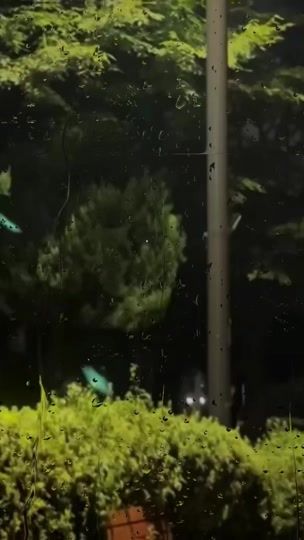 TikTok video thumbnail by whyforget_