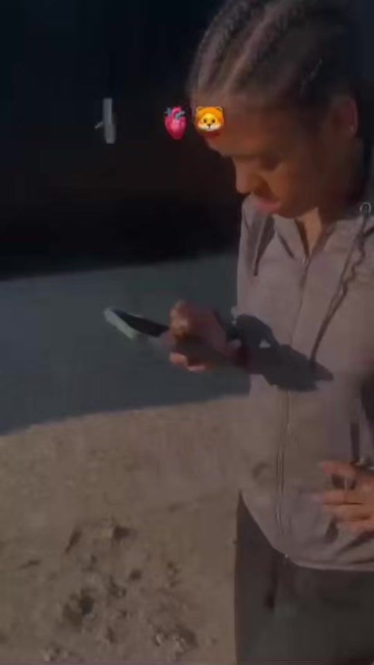 TikTok video thumbnail by mint.vall2