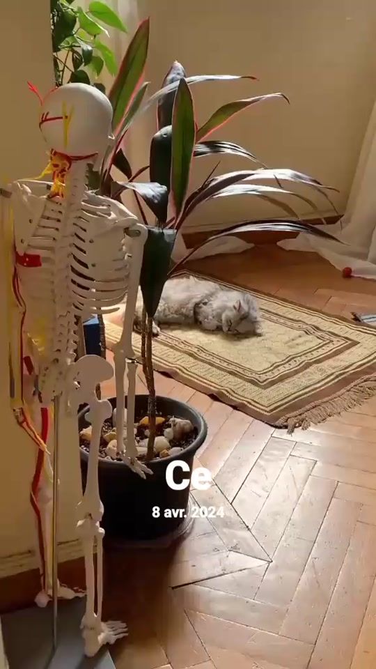 TikTok video thumbnail by regina.yanou