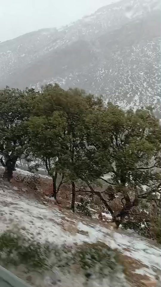 TikTok video thumbnail by mimon.noha