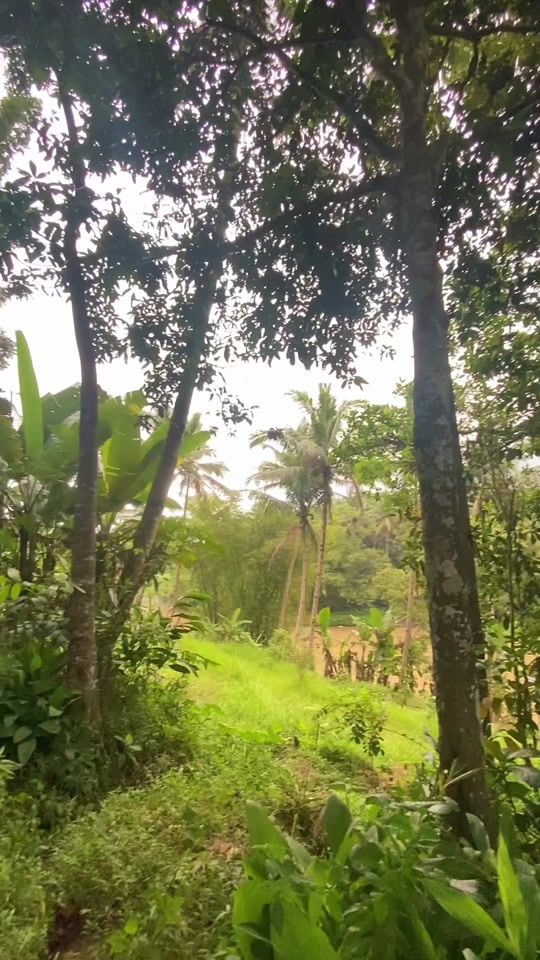 TikTok video thumbnail by wulanachrstaa_