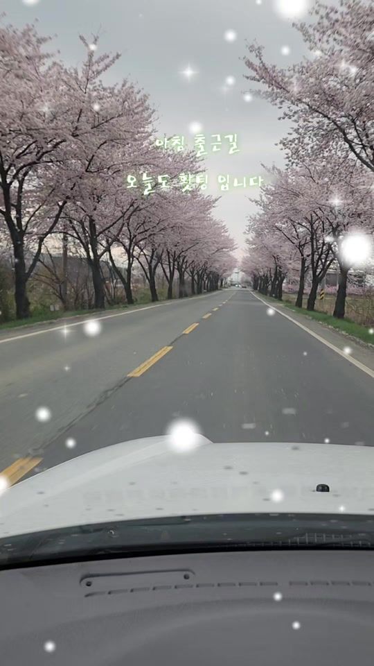 TikTok video thumbnail by user652392315637