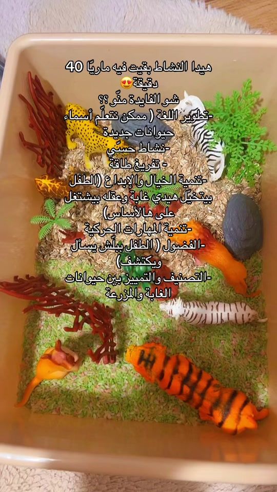 TikTok video thumbnail by shirin.zeiter