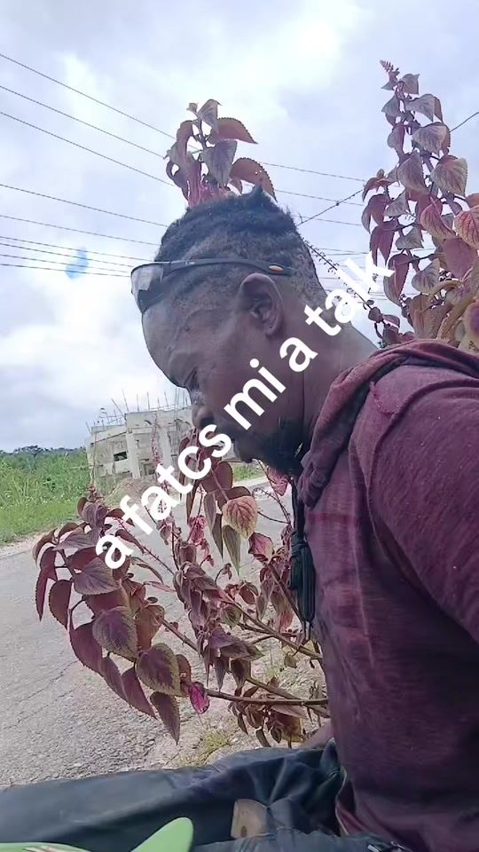 TikTok video thumbnail by laughternonestop