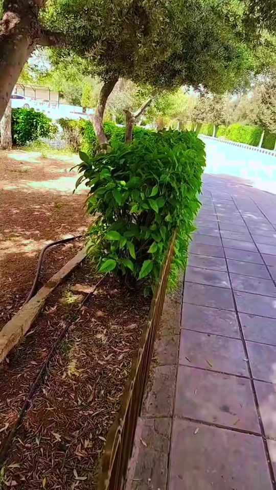 TikTok video thumbnail by firas...55
