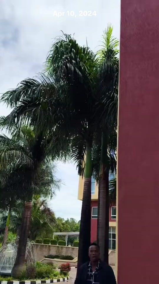 TikTok video thumbnail by mikachavala