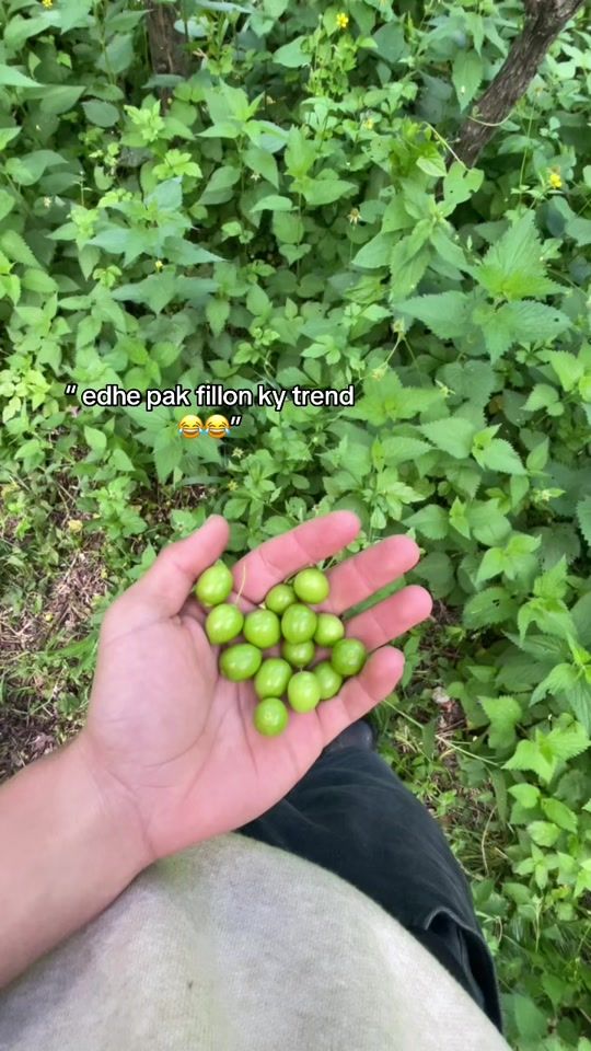 TikTok video thumbnail by .usser069