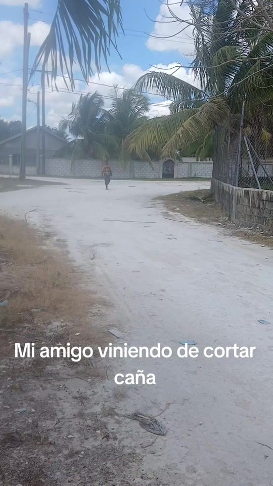 TikTok video thumbnail by pottelmer
