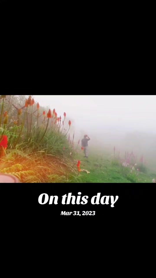 TikTok video thumbnail by wangchuk021