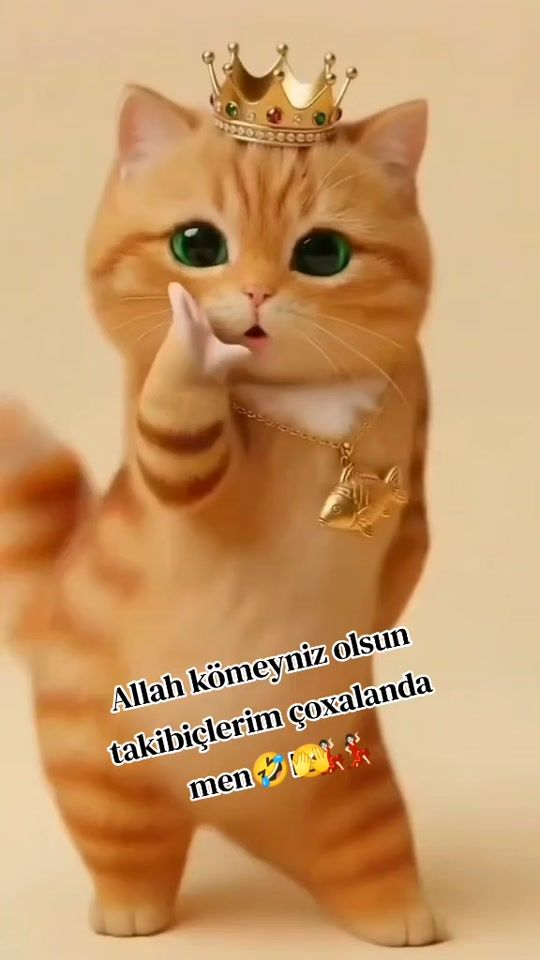 TikTok video thumbnail by elhamdulilallah