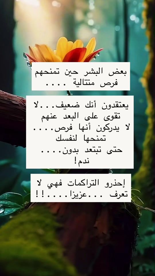 TikTok video thumbnail by omyoussef097