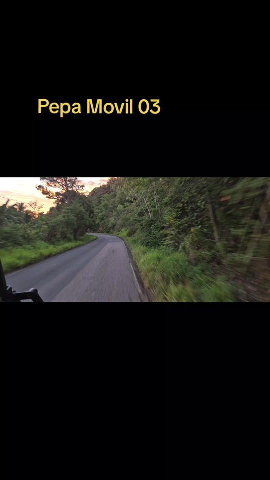 TikTok video thumbnail by gatonegro537