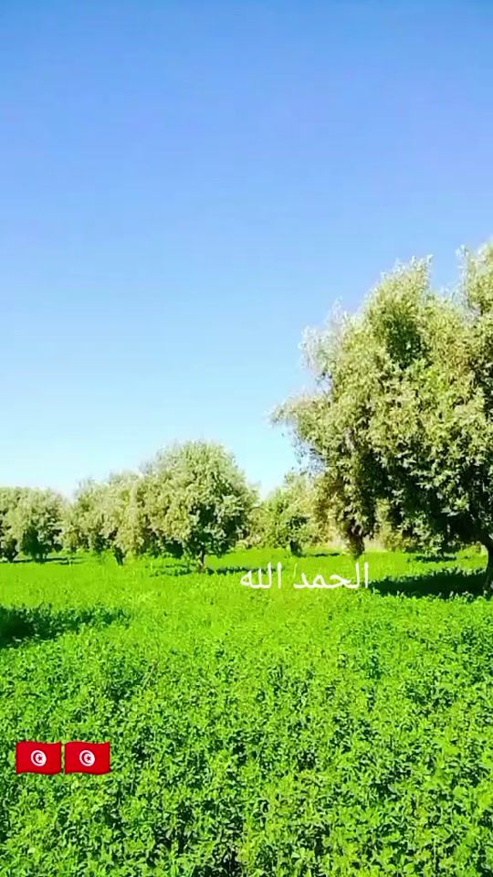 TikTok video thumbnail by helmiab790
