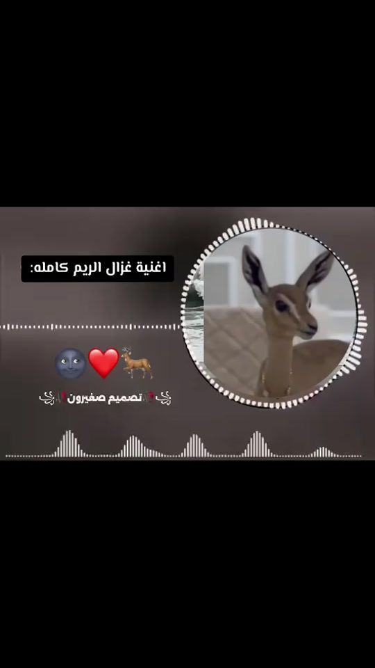 TikTok video thumbnail by .musa.r.s.f
