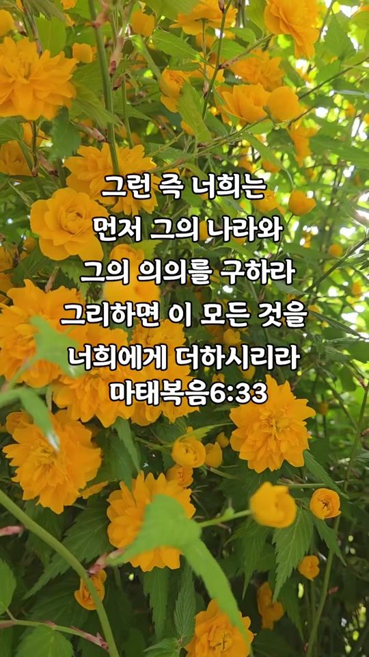 TikTok video thumbnail by younghie38