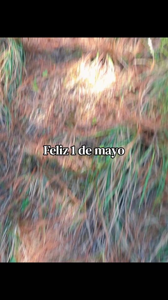 TikTok video thumbnail by rosyrchan502