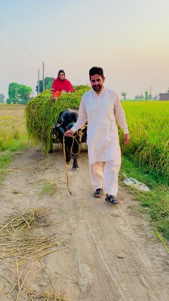 TikTok video thumbnail by imranmangat51